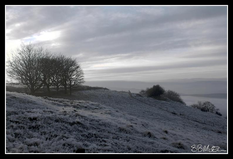 Frosty Tops: Photograph by Steve Milner